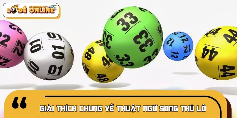 Giải thích chung về thuật ngữ song thủ lô