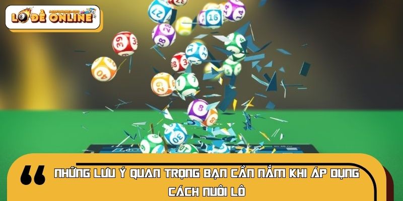 Những lưu ý quan trọng bạn cần nắm khi áp dụng cách nuôi lô