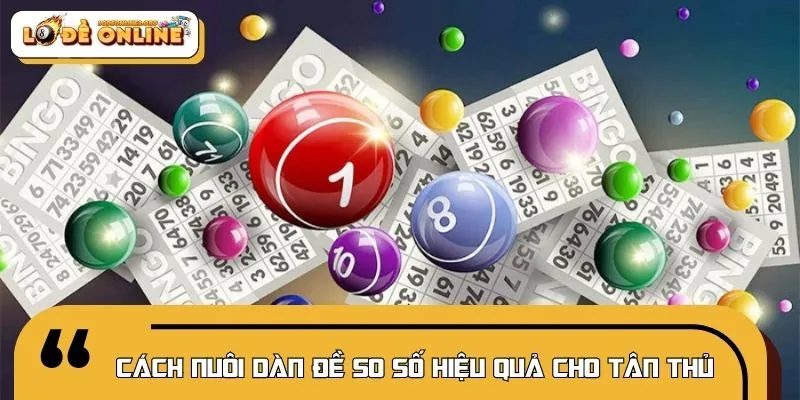 Phương pháp nuôi dàn đề 50 số hiệu quả dành cho người mới