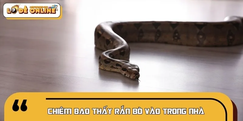 Con rắn bò vào nhà chính là dấu hiệu của tài lộc